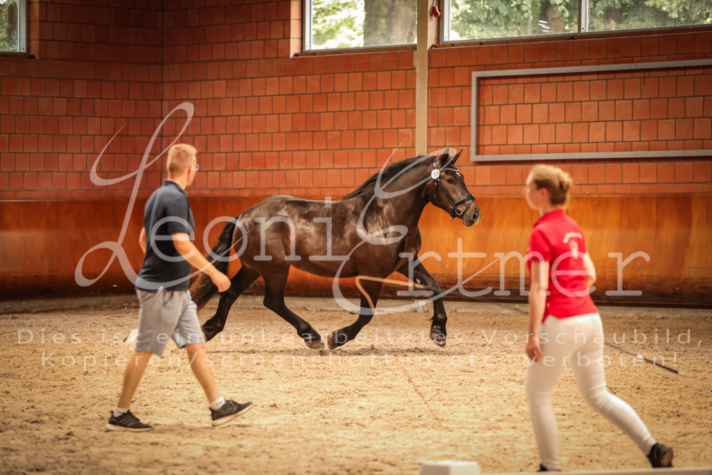 SaFL00376 | Leoni Ertmer Photography - Realisiert mit Pictrs.com