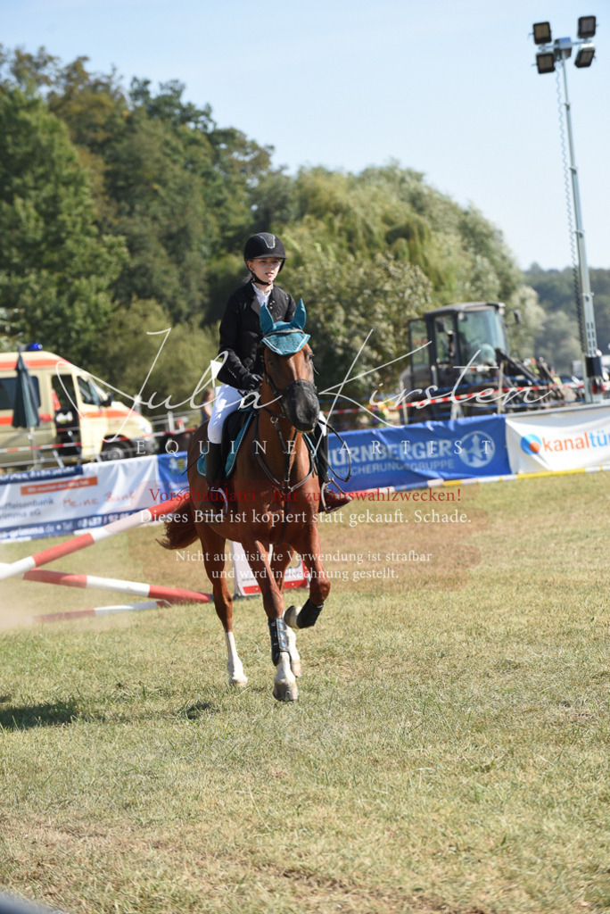 DSC_6054 | Pferde- und Turnierfotografie in Westsachsen. Pferdeportraits, Auftragszeichnungen und intuitive Kunst.
