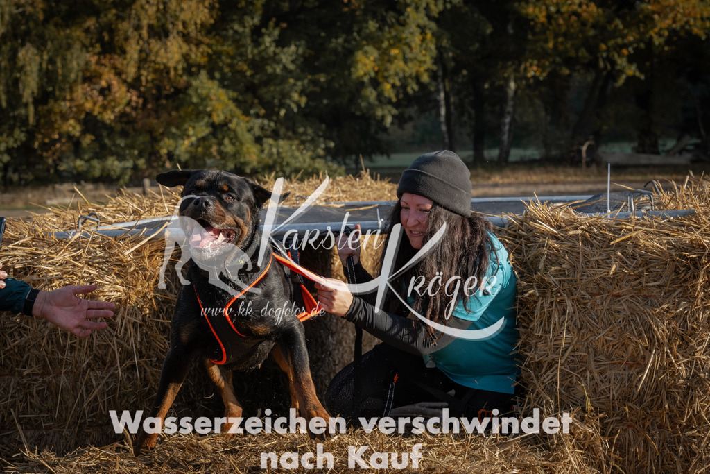 0949_ZZ94998 | kk-dogfotos