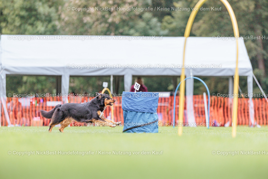 BSP Hoopers-H2-2026-Nickbest-Hundefotografie-TuS Komet Arsten e.V.-4178 | Dein Hund! Dein Moment! Deine Erinnerungen! Hundefotografie in Bremen Blumenthal. Ich fange die besonderen Momente deines Vierbeiners ein – ob Indoor mit Blitzanlage oder in der freien Natur. Sicher dir dein Moment und dein Termin für eure Erinnerungen.