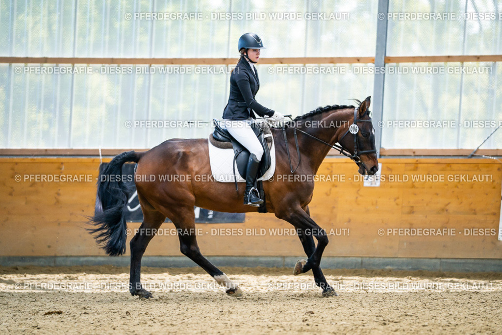 DSC05728 | Pferdegrafie