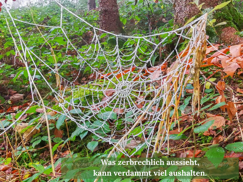 Affirmationskarten - 1 | mtkfoto_ - Realisiert mit Pictrs.com