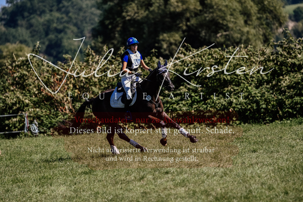 DSC_1701 | Pferde- und Turnierfotografie in Westsachsen. Pferdeportraits, Auftragszeichnungen und intuitive Kunst.