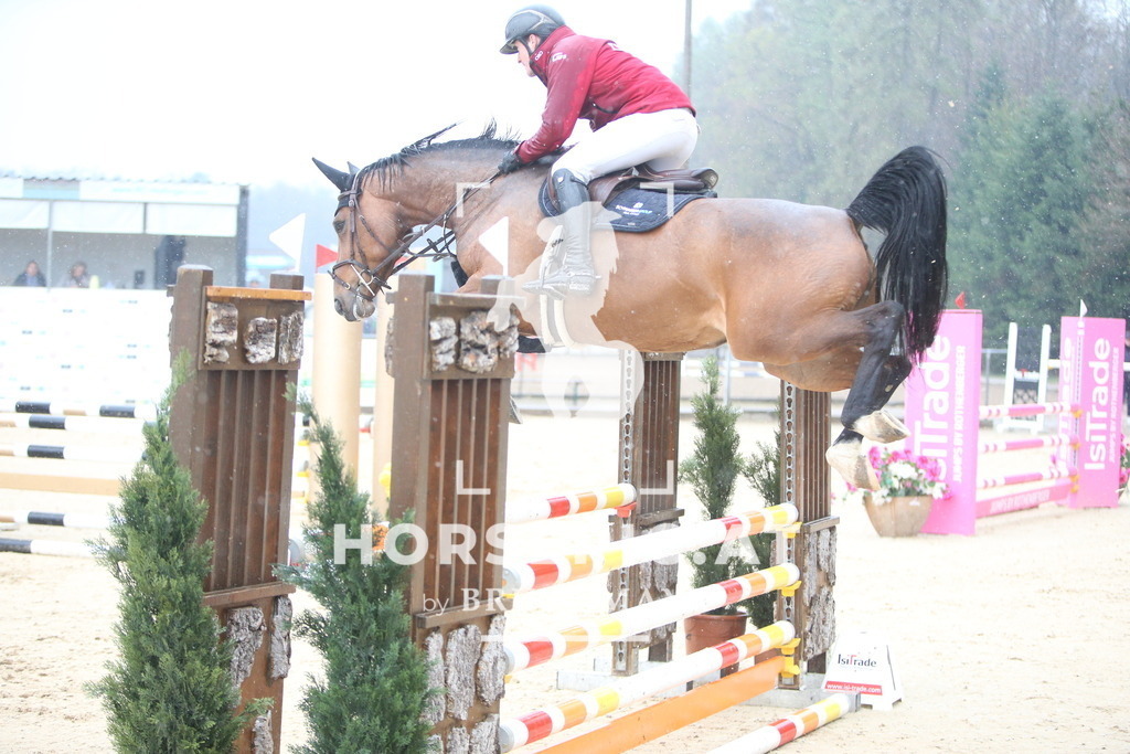 AS8V2151 | Willkommen bei Brunnmayr - Design & Fotografie – Ihrem Spezialisten für Reitturniere und Pferdeveranstaltungen in Oberösterreich, Salzburg und Bayern! Seit über 17 Jahren sind wir leidenschaftlich dabei.