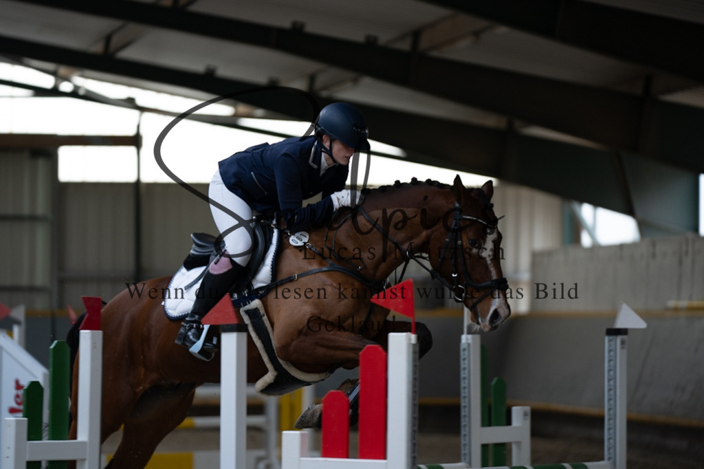 A7V03804 | Pferdefotograf