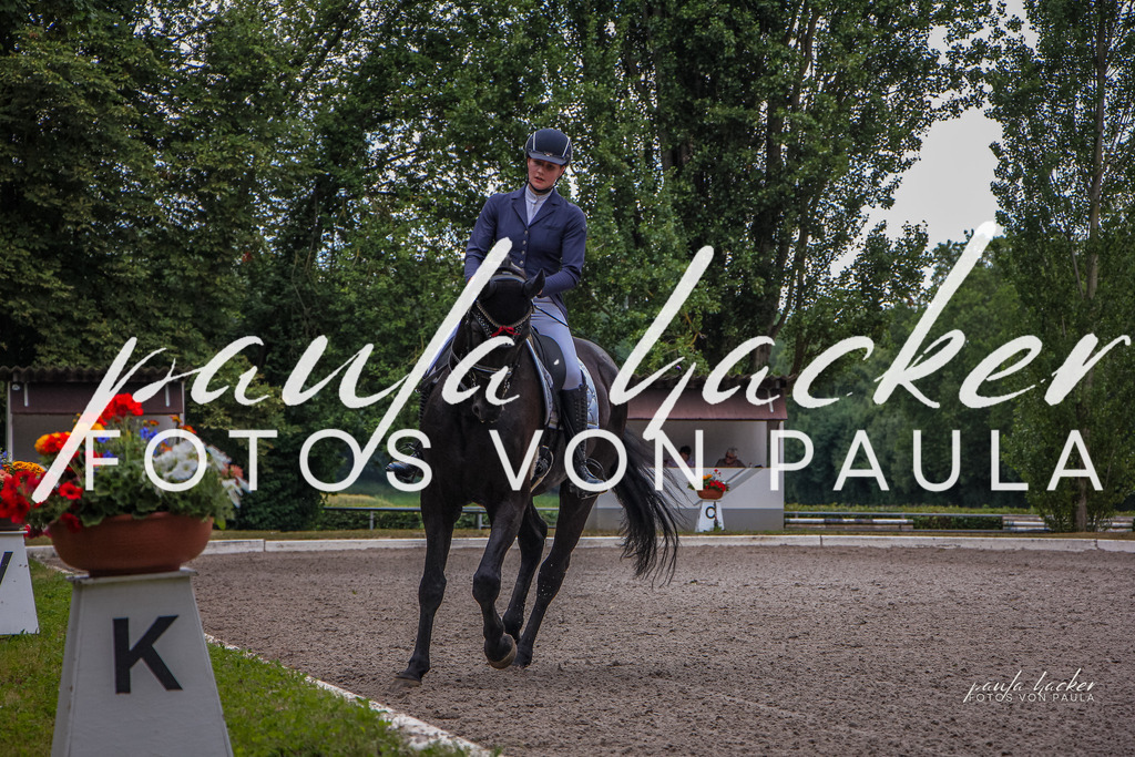 IMG_8964 | Erleben Sie dynamische Sport- und emotionale Tierfotografie in Süddeutschland mit Fotos von Paula. Spezialisiert auf Pferde- und Hundefotografie sowie Sportevents. Kontaktieren Sie mich für einzigartige und ausdrucksstarke Bilder Ihrer besonderen Momente. - Realisiert mit Pictrs.com