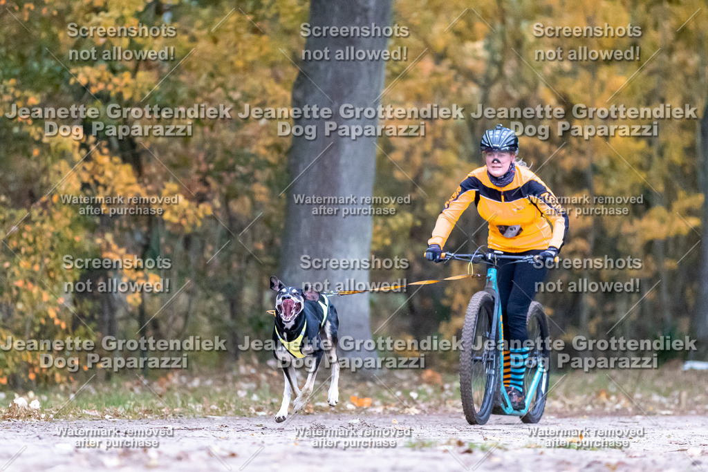 Dog Paparazzi - SD CaniX Championship 2025-18 | Dog Paparazzi Jeanette Grottendiek Fotografie & Videografie - Realisiert mit Pictrs.com