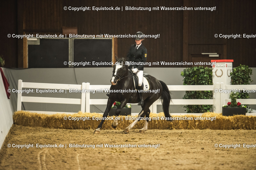 20240302_Hengstvorstellung_Marbach_TOMsPiC_0704 | equistock