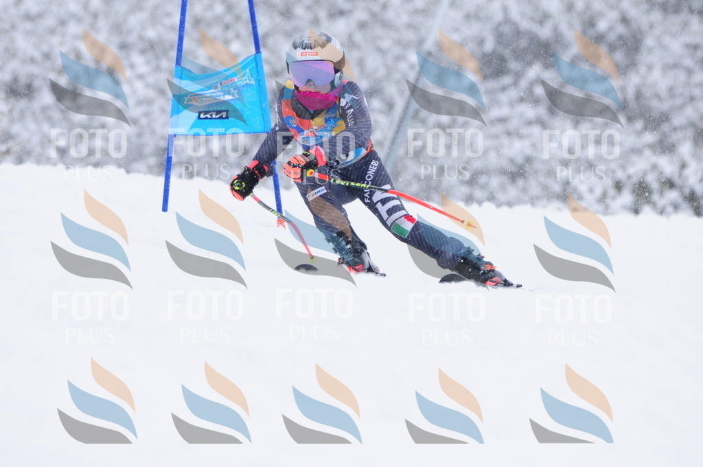 C4043 | holidayphoto