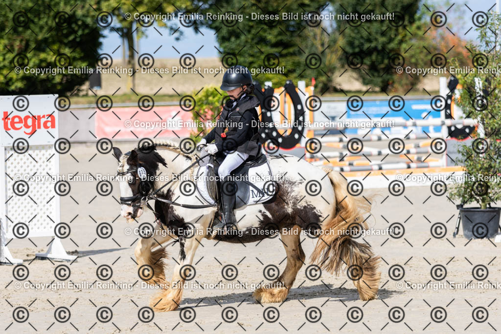 CL5A1918 | Emilia Reinking Fotografie - Realisiert mit Pictrs.com