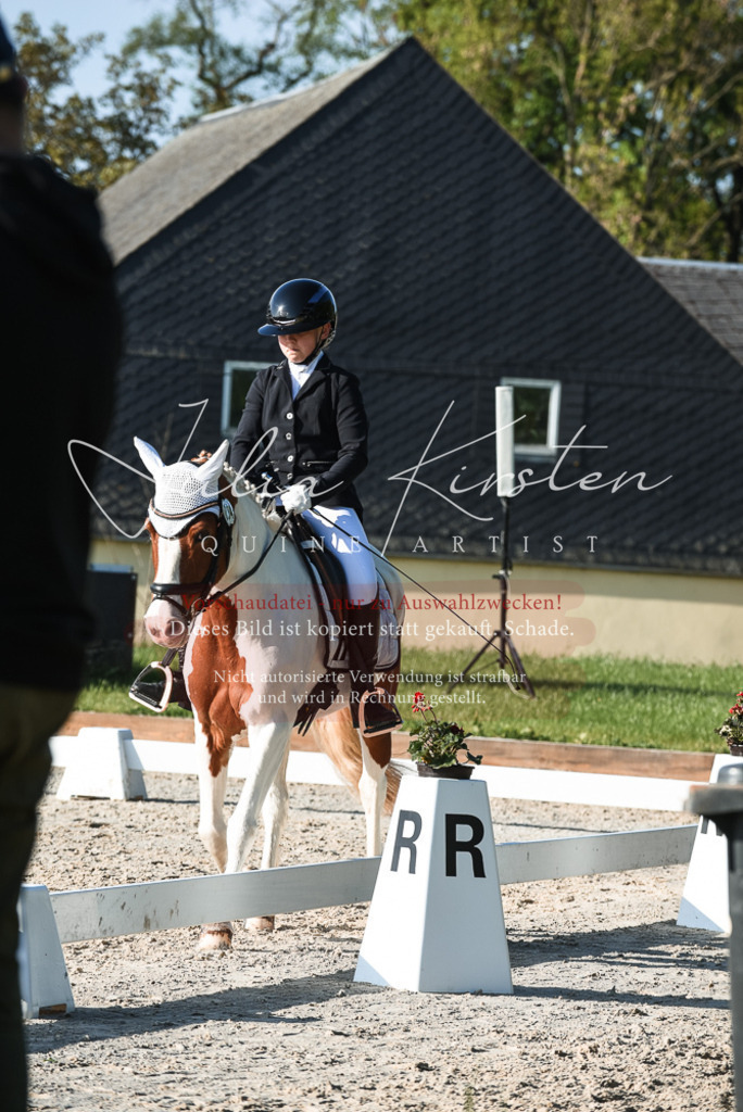 20230518_JK-Röhrsdorf-09-0282 | Pferde- und Turnierfotografie in Westsachsen. Pferdeportraits, Auftragszeichnungen und intuitive Kunst.