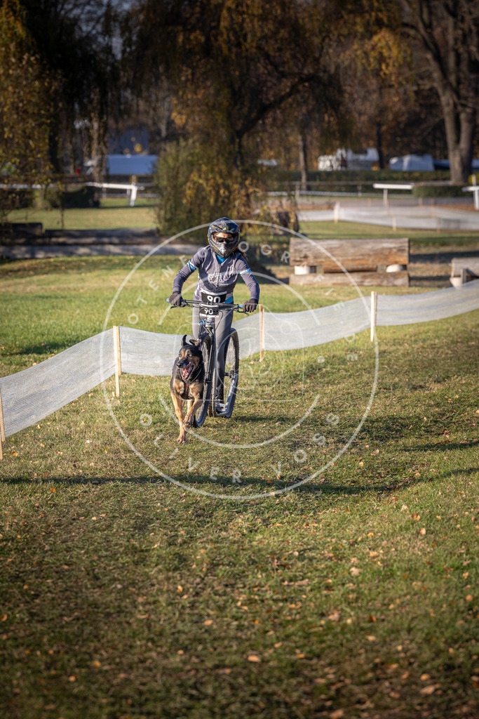 CaniXpix_DV3A1859 | Hundefotografie, Tierfotograf, Pfotenfotografie, Fotoshooting Hund, Hunde Portrait, Hundesport, Hundeportraits, Heideshooting, Hunde, Sportfotograf, Hundefotograf, Turnierhundsport, THS,  - Realisiert mit Pictrs.com