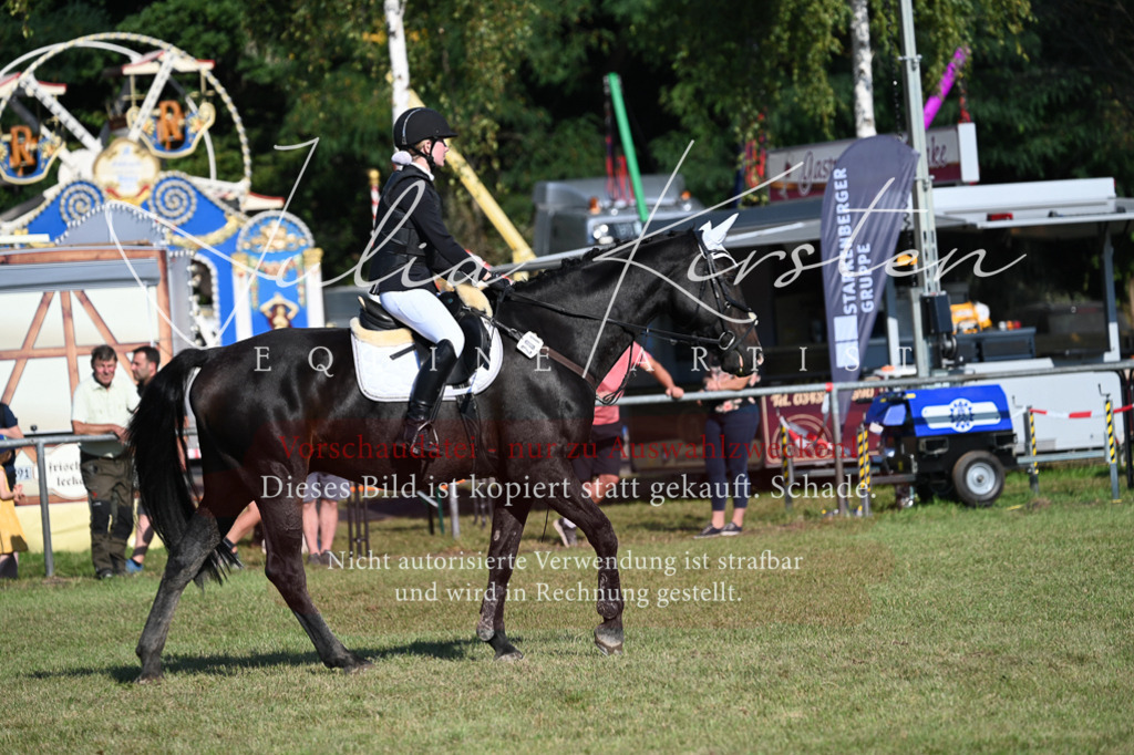 DSC_5123 | Pferde- und Turnierfotografie in Westsachsen. Pferdeportraits, Auftragszeichnungen und intuitive Kunst.