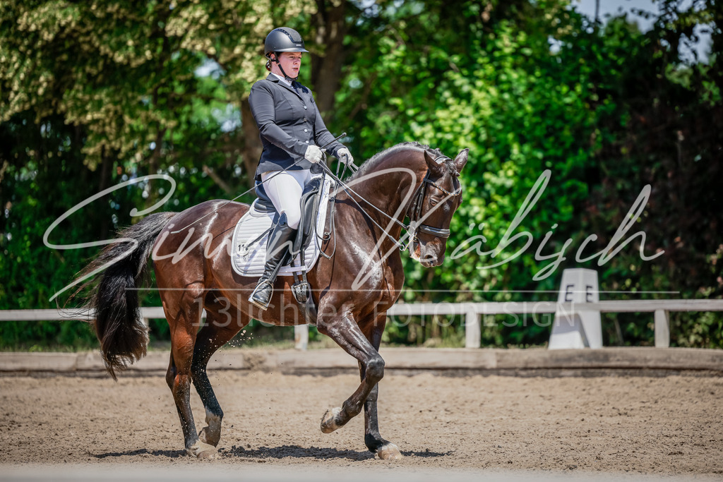 20250621-_3LI8001 | Tierfotografie Pferde, Hunde, Katzen, Haustiere.
Turnierfotografie Reitturniere, Reiten, Springreiten, Dressur in Hanau, dem Main-Kinzig-Kreis und dem Rhein-Main- Gebiet um Frankfurt