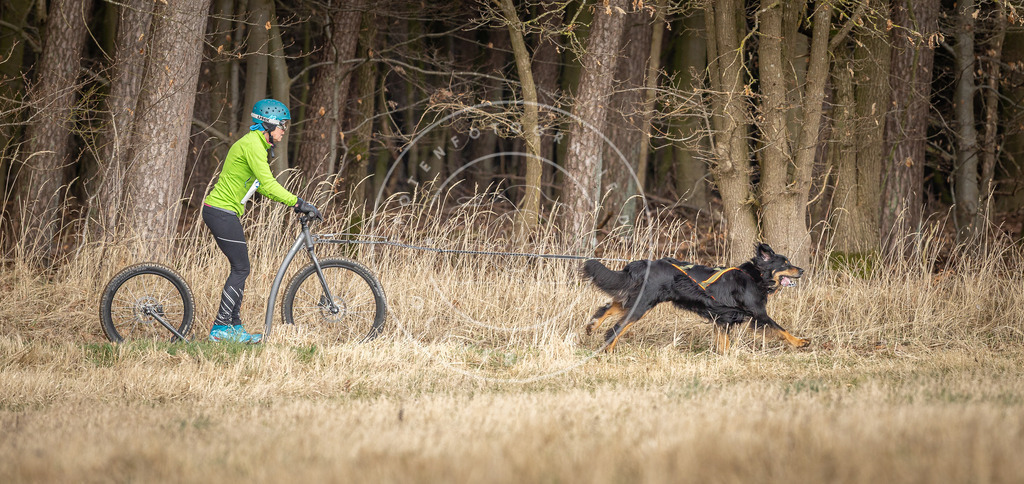 DV3A4872 | Hundefotografie, Tierfotograf, Pfotenfotografie, Fotoshooting Hund, Hunde Portrait, Hundesport, Hundeportraits, Heideshooting, Hunde, Sportfotograf, Hundefotograf, Turnierhundsport, THS,  - Realisiert mit Pictrs.com