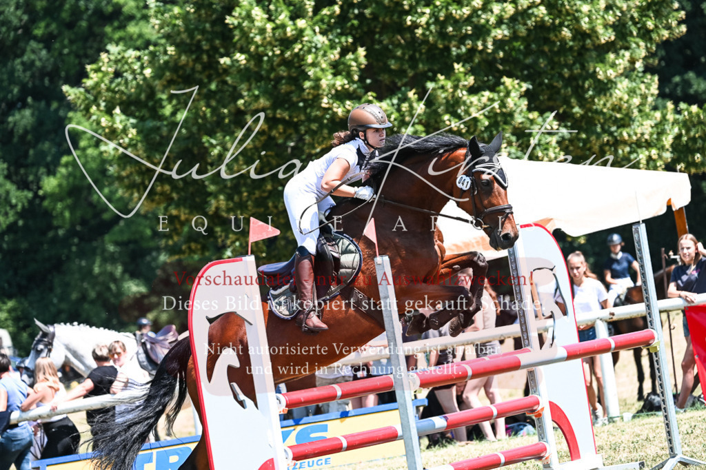 DSC_0394 | Pferde- und Turnierfotografie in Westsachsen. Pferdeportraits, Auftragszeichnungen und intuitive Kunst.