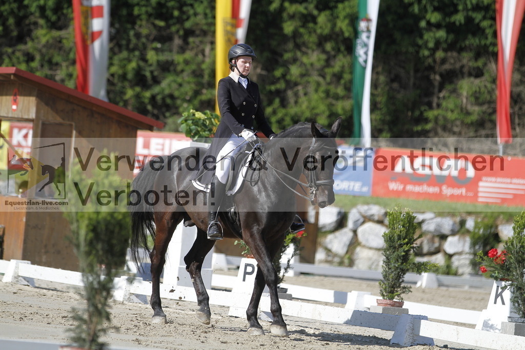 _MG_3102 | equestrian-live-com