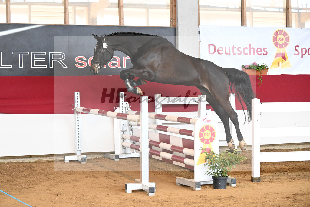 Kat-Nr. 55 Celina v. Chubakko_Ostermann_7251124 | hf-fotografie - Realizzato con Pictrs.com