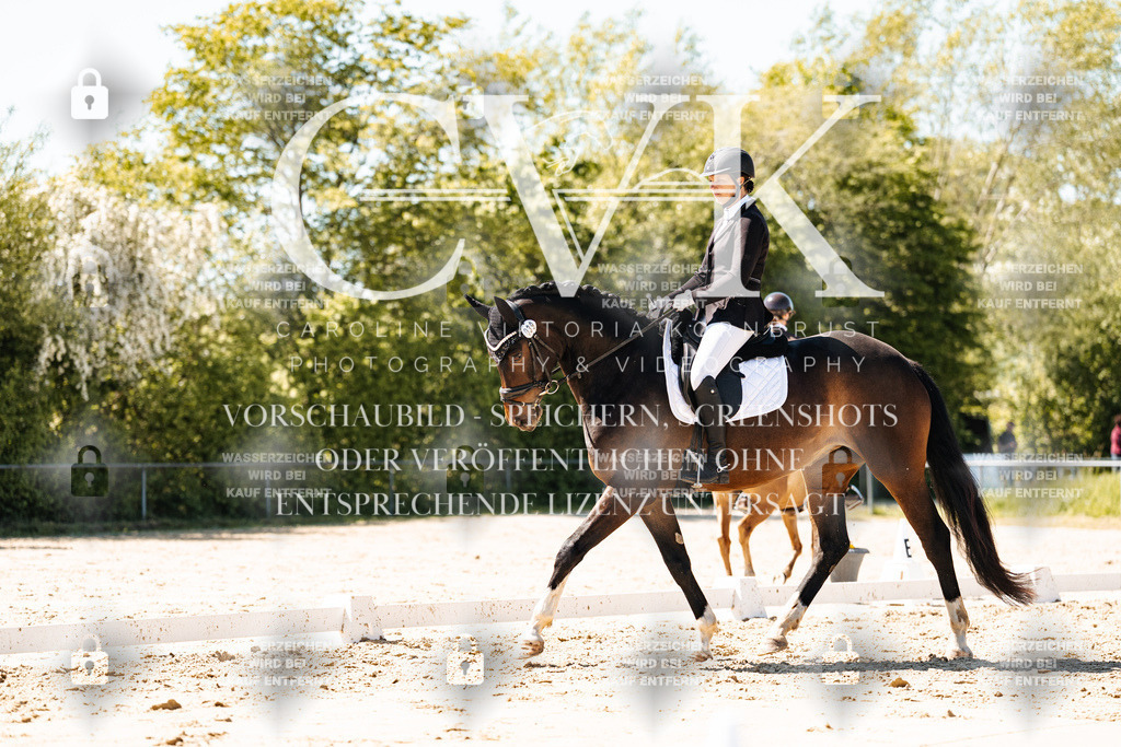 CK905412 | Turnierfotografie Pferdefotografie Trier Rheinland-Pfalz Pferdesport Reitsport Tierfotografie Sportfotografie Pferdevideo Pferdevideografie Equestrianvideography equestrianphotography  - Realisiert mit Pictrs.com