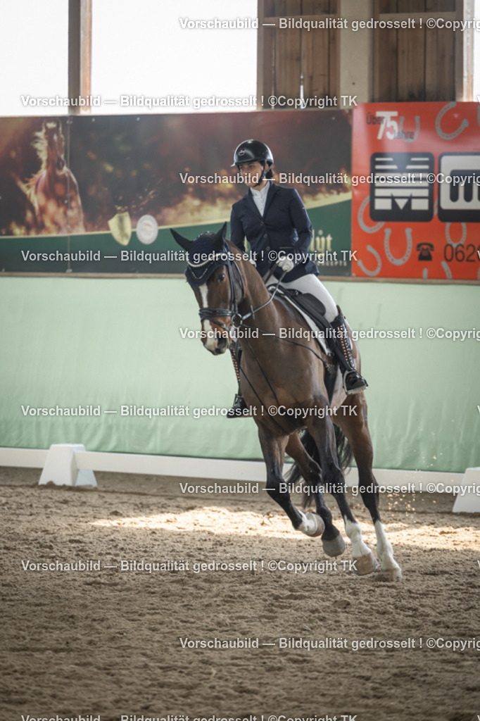 _D5A5462 | Emotionale Pferde- & People-Fotografie rund um Heidelberg, Leimen & Umgebung. Natürliche Fotos von Pferd, Mensch & Familie. Jetzt Termin sichern!