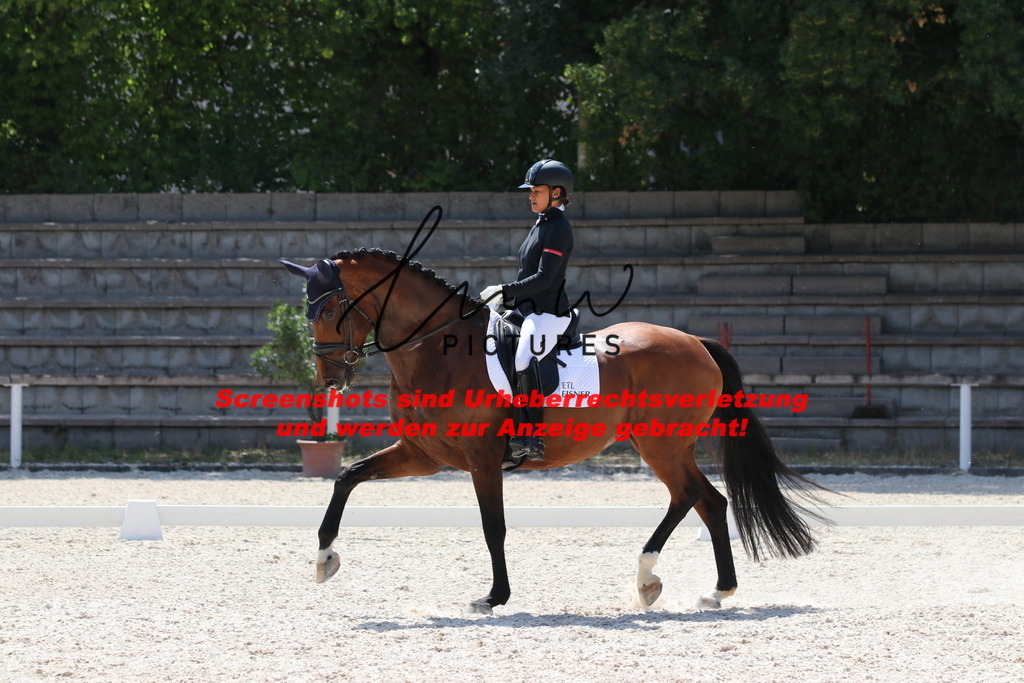 IMG_5233 | lmwpictures - Realisiert mit Pictrs.com