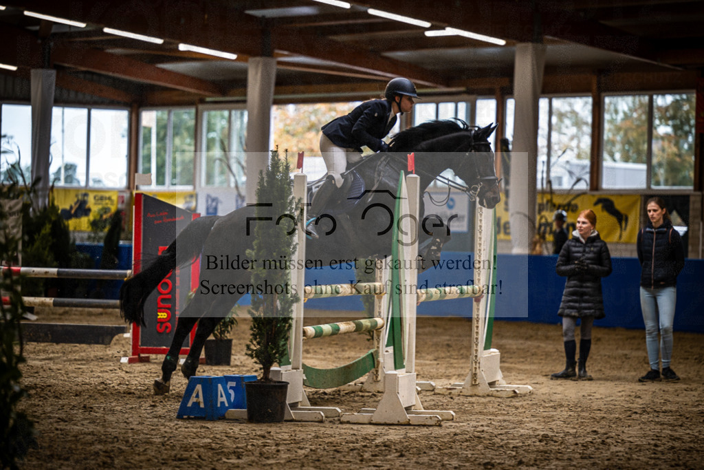 DOS_2738 | Entdecke hochwertige Reitturnierfotos von Foto Oger. Professionell, emotional und authentisch – jetzt Lieblingsmomente im Shop bestellen.Deutschlandweite Turnierfotografie. - Realisiert mit Pictrs.com