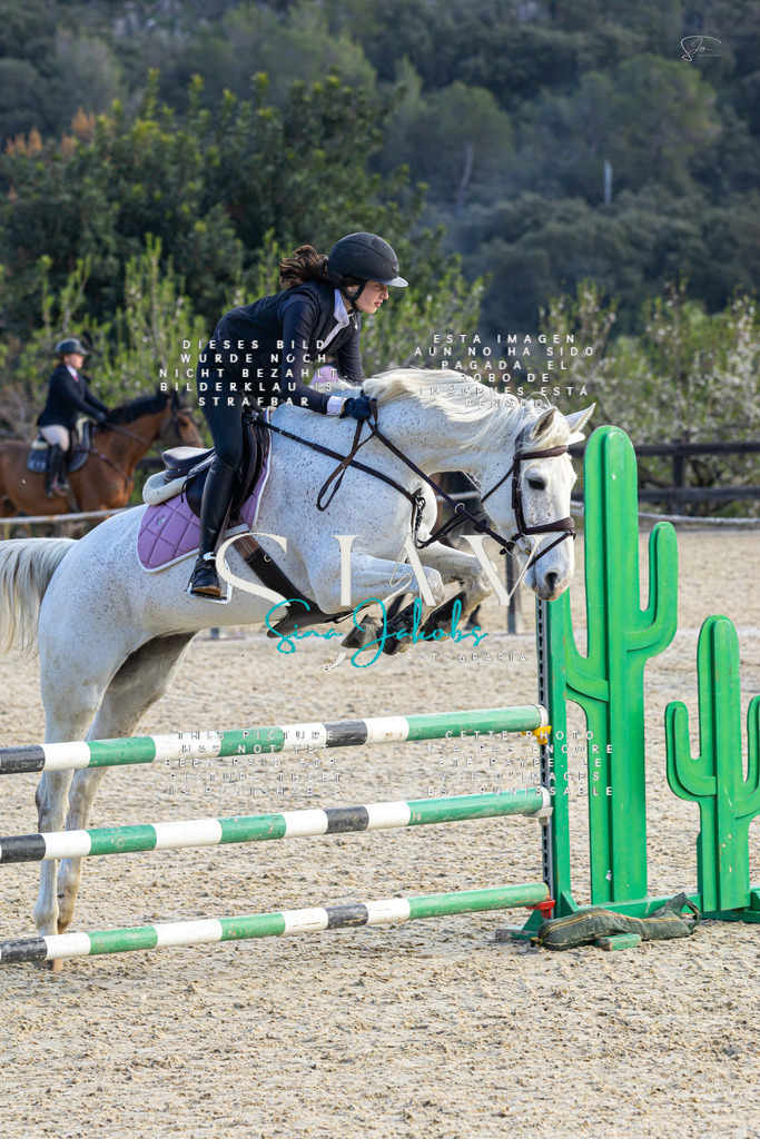 IMG_5157 | s-jay-photography - Realisiert mit Pictrs.com