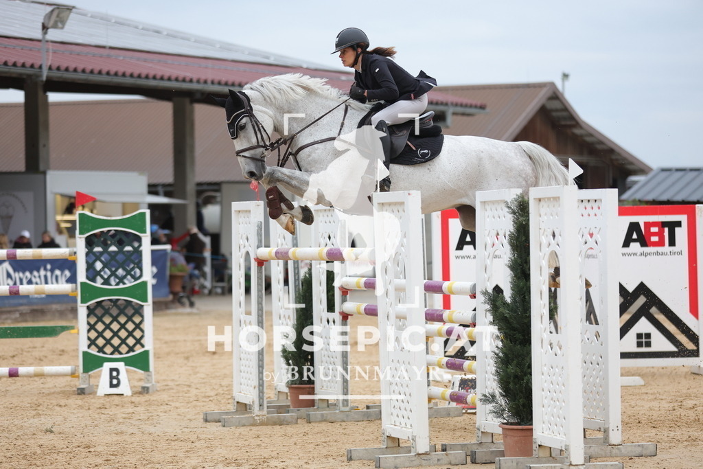0P6A4804 | Willkommen bei Brunnmayr - Design & Fotografie – Ihrem Spezialisten für Reitturniere und Pferdeveranstaltungen in Oberösterreich, Salzburg und Bayern! Seit über 17 Jahren sind wir leidenschaftlich dabei.