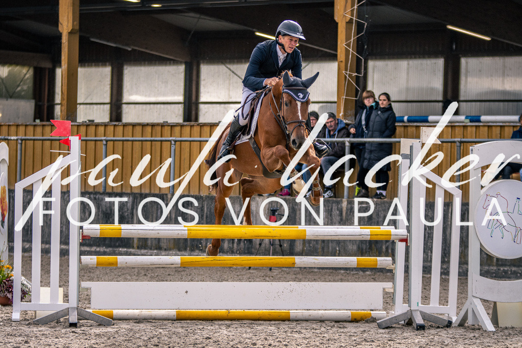 IMG_5256 | Erleben Sie dynamische Sport- und emotionale Tierfotografie in Süddeutschland mit Fotos von Paula. Spezialisiert auf Pferde- und Hundefotografie sowie Sportevents. Kontaktieren Sie mich für einzigartige und ausdrucksstarke Bilder Ihrer besonderen Momente.