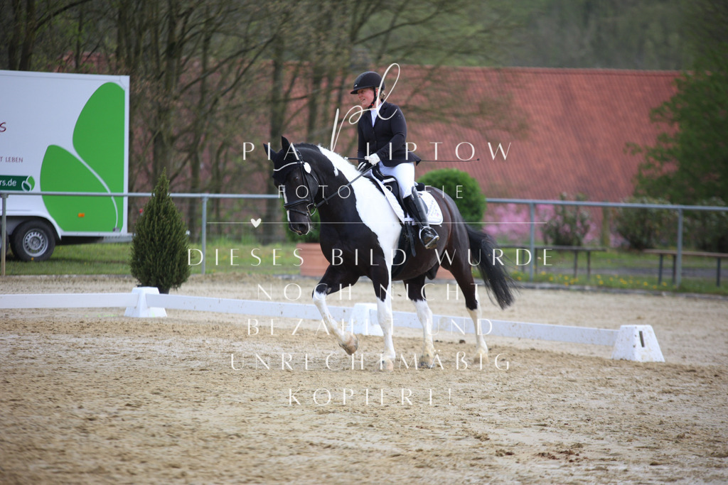 IMGT6487 | pl-fotografie