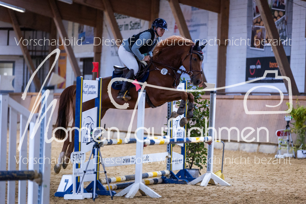 Sth-Gewöhnung-003 | MomenTaufnahmen Pferdesportfotos