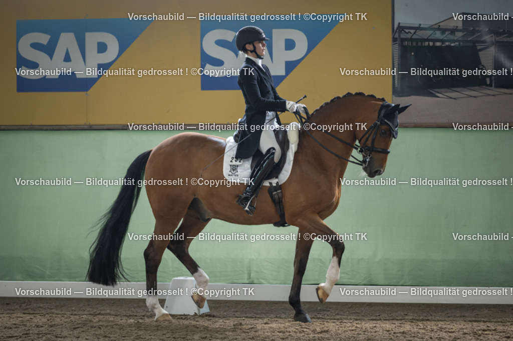 _D5A5904 | Emotionale Pferde- & People-Fotografie rund um Heidelberg, Leimen & Umgebung. Natürliche Fotos von Pferd, Mensch & Familie. Jetzt Termin sichern!