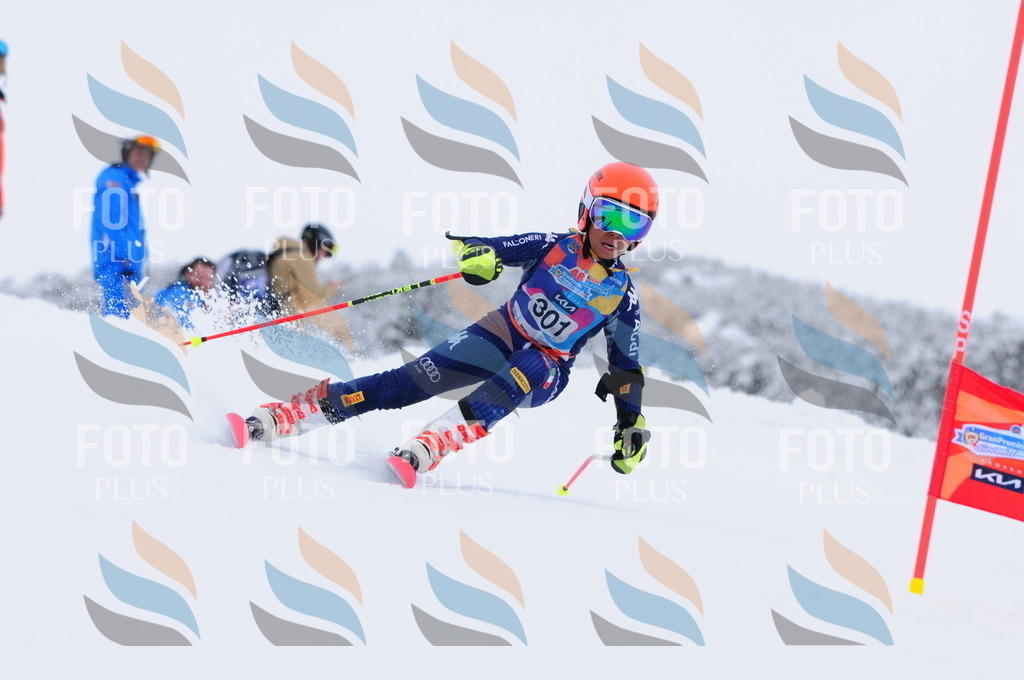 C3189 | holidayphoto