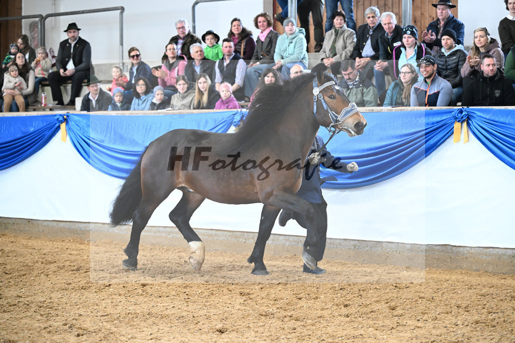 Varco_11260128 | hf-fotografie - Realizzato con Pictrs.com