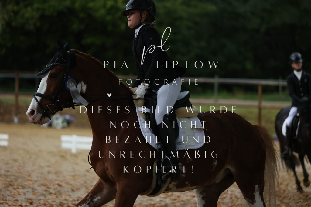 IMGM9615 | pl-fotografie