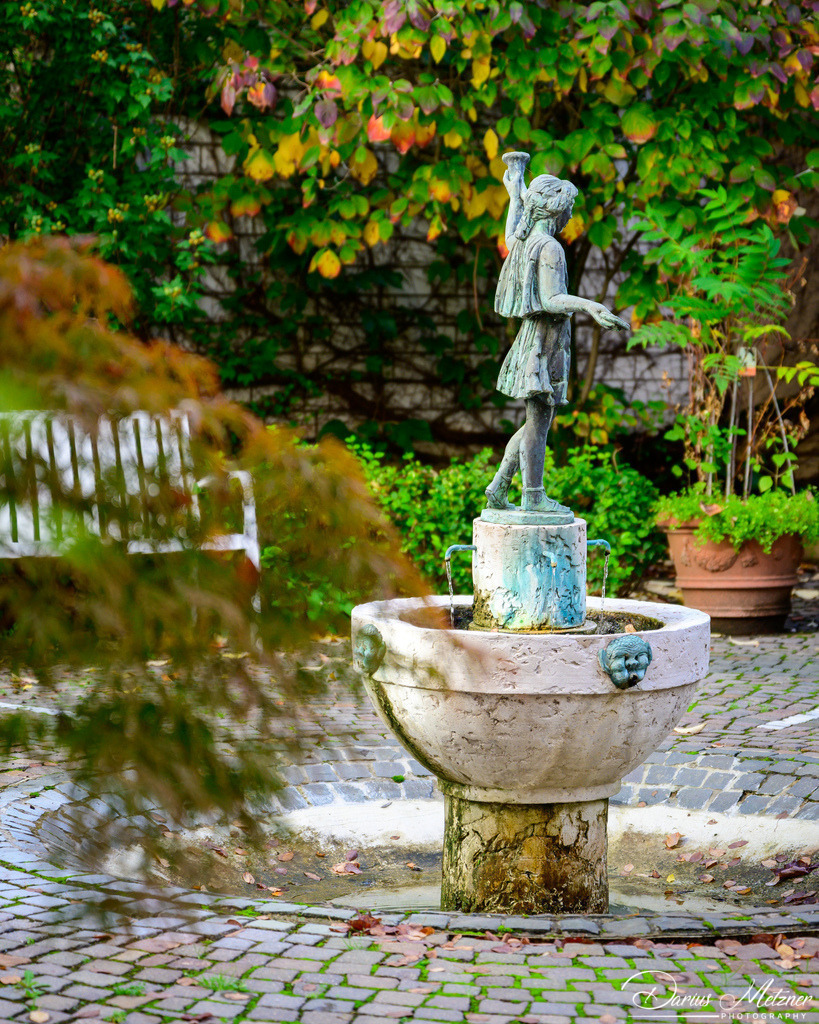 _DSC0651 | Fotografien, Fotos und Bilder aus Mainz, Frankfurt, Wiesbaden und anderen Orten auf der Welt - Fotografiert von Darius Metzner