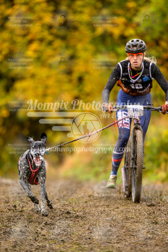 MompixPhotography_ICF_WC_2024_SA_DS_-28 | PayLife