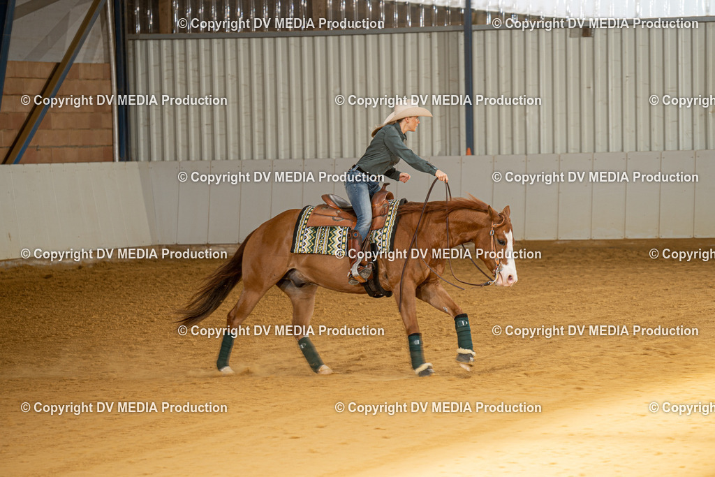 MIT00071 | dv-media-shop - Realisiert mit Pictrs.com