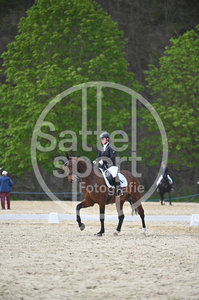 DSC_4983 | sattelsport - Realisiert mit Pictrs.com