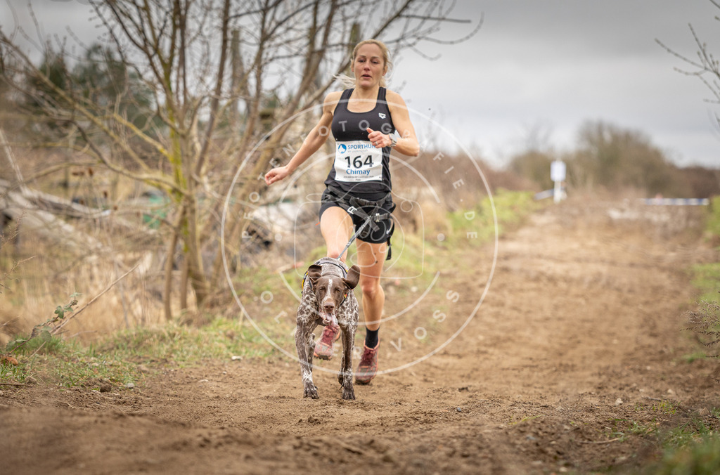 DV3A1795 | Hundefotografie, Tierfotograf, Pfotenfotografie, Fotoshooting Hund, Hunde Portrait, Hundesport, Hundeportraits, Heideshooting, Hunde, Sportfotograf, Hundefotograf, Turnierhundsport, THS,  - Realisiert mit Pictrs.com