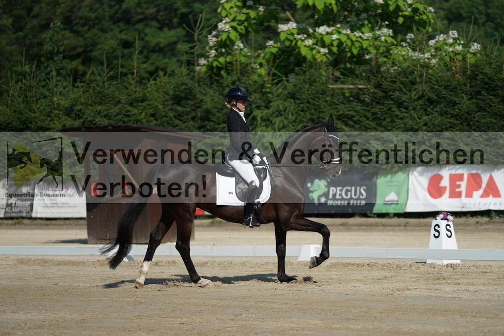 DSC01285 | equestrian-live-com