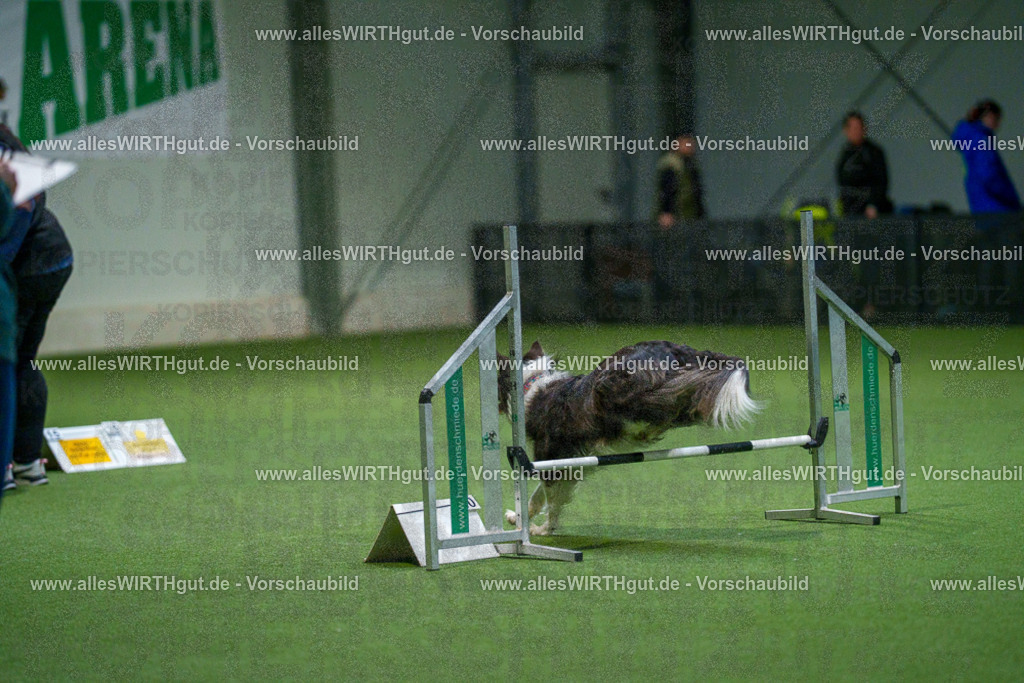 7R500278 | Professionelle Tierfotografie in Mönchengladbach von Daniel Wirth (allesWIRTHgut). Liebevolle & natürliche Bilder von Hunden & Katzen für unvergessliche Erinnerungen.