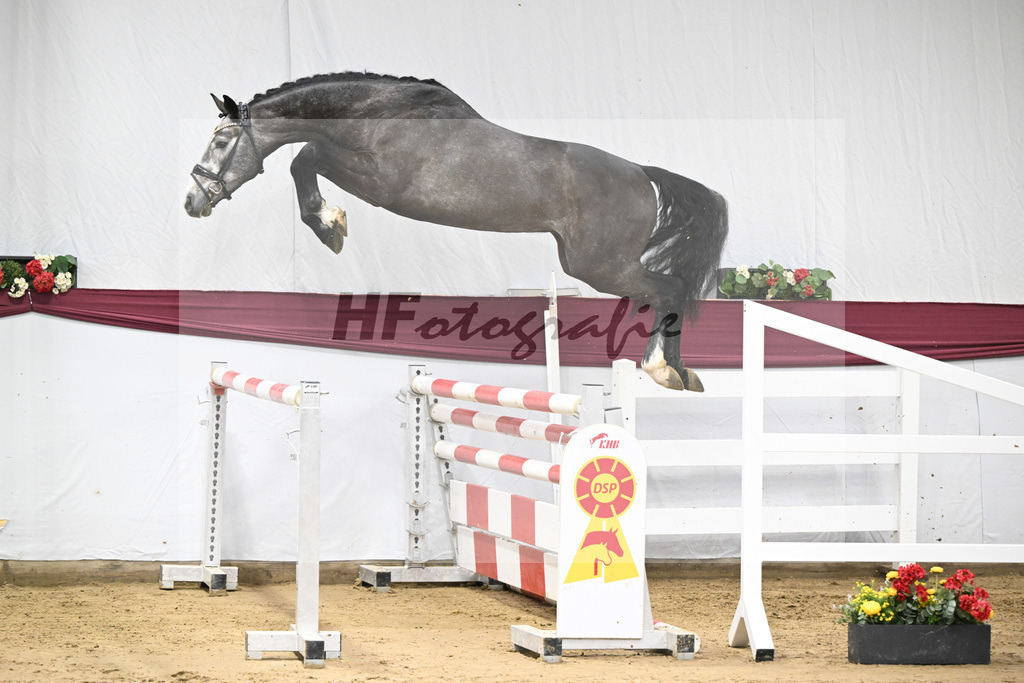 Kat-Nr. 72 Chacoon Blue x Contagio_Matthias Schlamminger GmbH_47252949 | hf-fotografie - Realisiert mit Pictrs.com