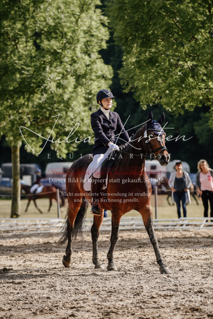DSC_8713 | Pferde- und Turnierfotografie in Westsachsen. Pferdeportraits, Auftragszeichnungen und intuitive Kunst.