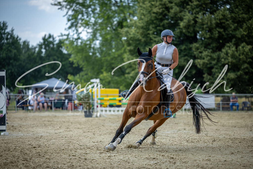 20260704-_3LI1833 | Tierfotografie Pferde, Hunde, Katzen, Haustiere.
Turnierfotografie Reitturniere, Reiten, Springreiten, Dressur in Hanau, dem Main-Kinzig-Kreis und dem Rhein-Main- Gebiet um Frankfurt