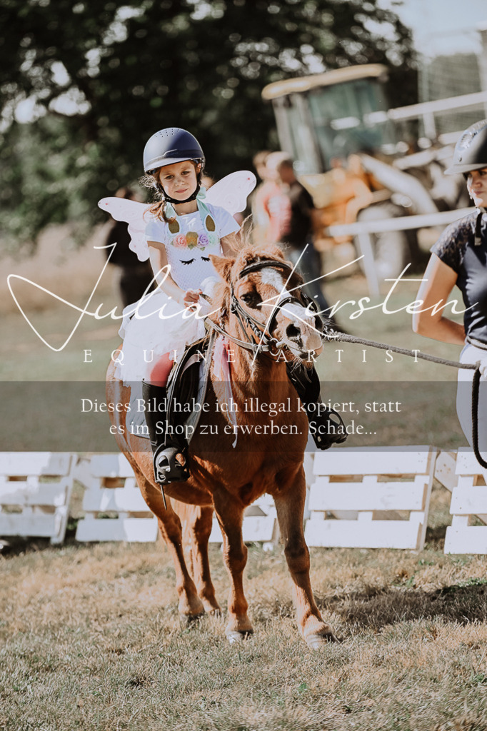 DSC_9119 | Pferde- und Turnierfotografie in Westsachsen. Pferdeportraits, Auftragszeichnungen und intuitive Kunst.