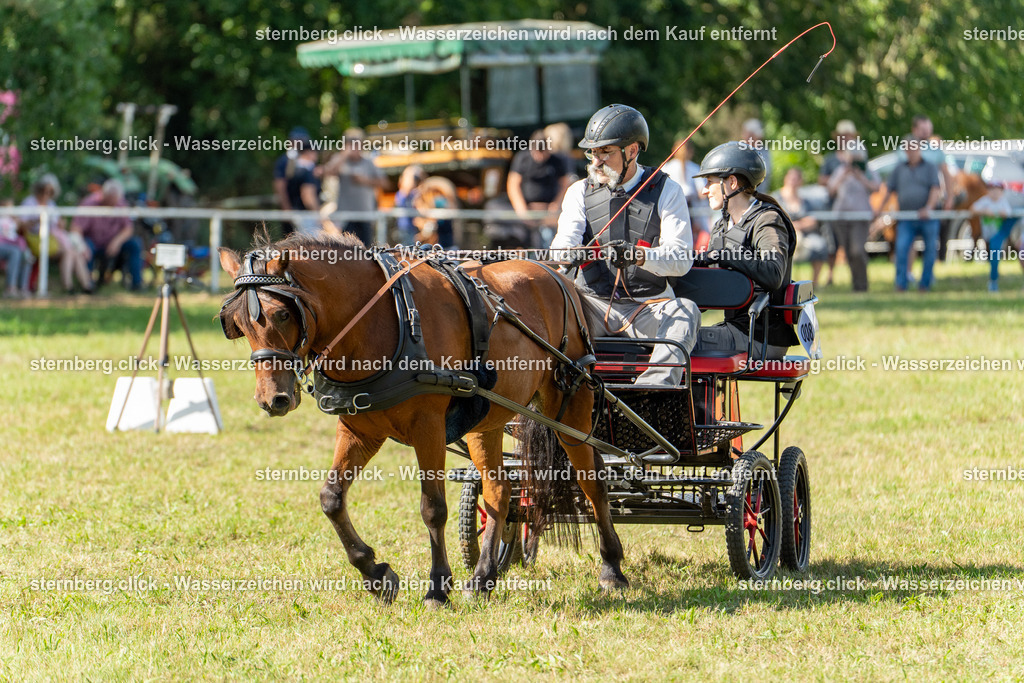 2026-08-29_14-34-21_sternberg.click_WBO-Diera | sternberg.click - Realisiert mit Pictrs.com