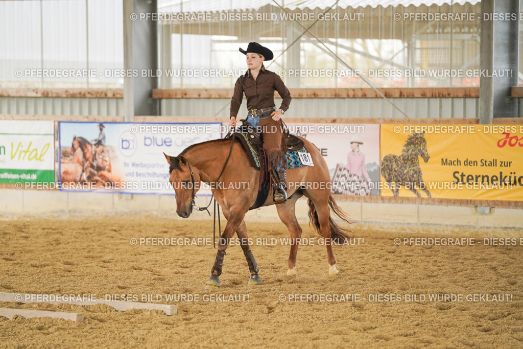 DSC04684 | Pferdegrafie