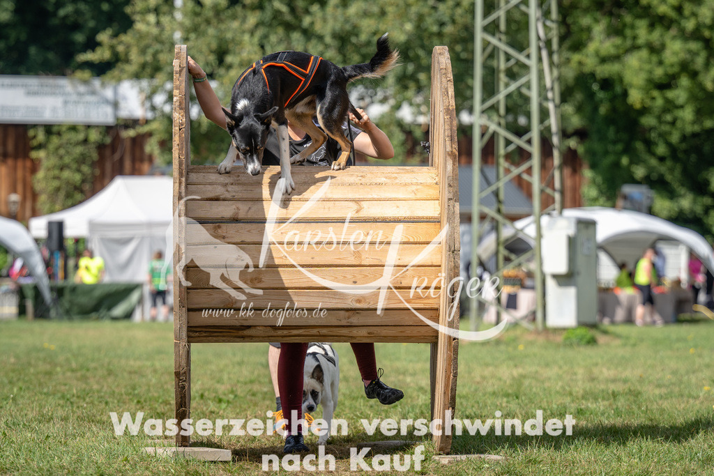 1136_ZZ90789 | kk-dogfotos