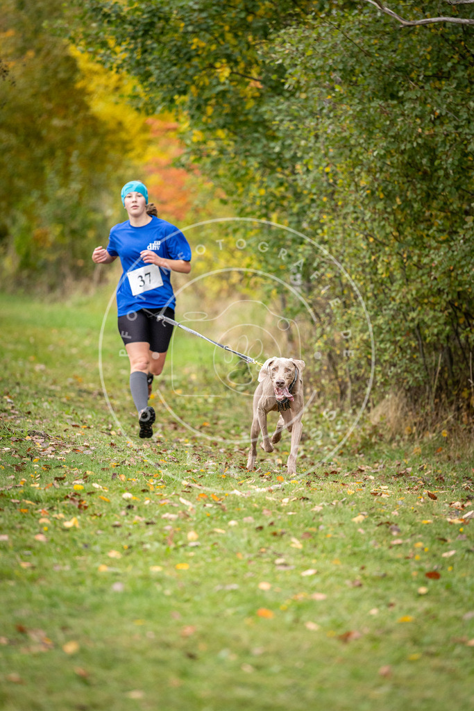 Pfotenfotografie_DV3A2162 | Hundefotografie, Tierfotograf, Pfotenfotografie, Fotoshooting Hund, Hunde Portrait, Hundesport, Hundeportraits, Heideshooting, Hunde, Sportfotograf, Hundefotograf, Turnierhundsport, THS,  - Realisiert mit Pictrs.com